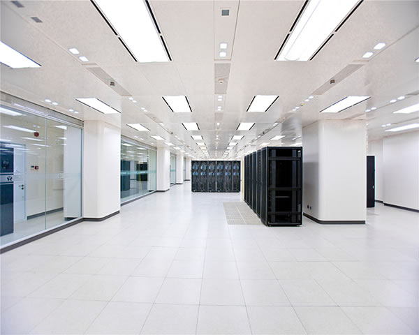 The Impact Of Volkswagen Germany Server Shutdown And Subsequent Response Strategies